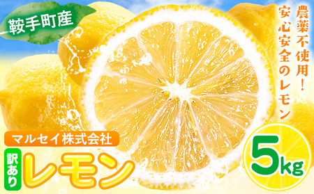  󂠂 5kg }ZCЁs11{-1oׁt