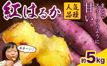 ys\zI g͂邩 5kg 傤_s12{-3oׁt Ǝ蒬 g͂邩 ܂   C Tc}C