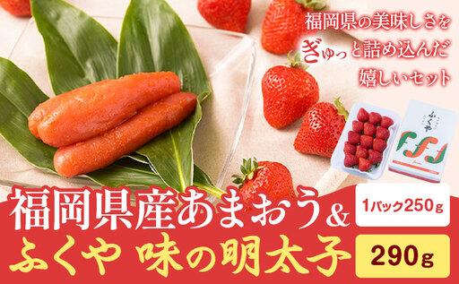 福岡県産あまおう(250g/1パック) & ふくや味の明太子 290g 南国フルーツ株式会社《2026年12月上旬-2027年3月末頃出荷》福岡県 鞍手町 あまおう いちご めんたいこ 明太子 セット 送料無料