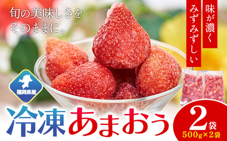 福岡県産 冷凍あまおう1kg(500g×2袋) 南国フルーツ株式会社[12月中旬-3月末頃出荷][配送不可地域あり]