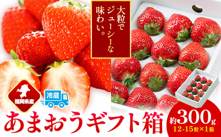 福岡県産 あまおう ギフト箱 約300g 南国フルーツ株式会社[12月上旬-3月末頃出荷][配送不可地域あり]