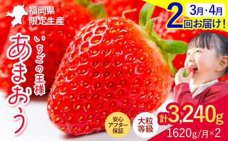 �y2��������ցz������ ���܂��� ��s�\�� ��������� 1620g �t���[�c � �{ �󂠂� ���ʌ��� �ӂ邳�Ɣ[�� �s���� �� 4�� �K�i�O �K�i�O�ʕ� �������� �ʕ� �y�����w��s�z�s2026�N3���E4��