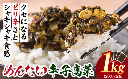 めんたい辛子高菜 計1kg (200g×5p)[30日以内に出荷予定(土日祝除く)] 福岡県 鞍手町 送料無料 辛子 明太子 めんたいこ 高菜 おかず ご飯のお供 大容量