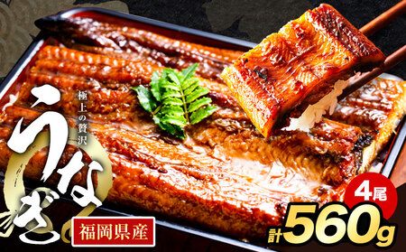 うなぎ 鰻 福岡県産 鰻の蒲焼き 数量限定 4尾 560g 以上 HOMIE うなぎ[45日以内に出荷予定(土日祝除く)]くらてうなぎ 鰻 蒲焼き 数量限定 国産うなぎ 蒲焼 うなぎ蒲焼 (1尾あたり120g-180g以上) うなぎ