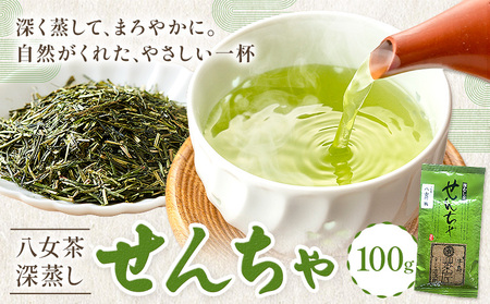 八女茶 深蒸し 茶煎茶 100g 株式会社JSE[30日以内に出荷予定(土日祝除く)]福岡県 鞍手郡 鞍手町 お茶 煎茶 深蒸し茶 お茶 茶葉 お茶の葉 お茶葉 煎茶 国産 日本茶 飲物 飲み物 飲みもの のみもの