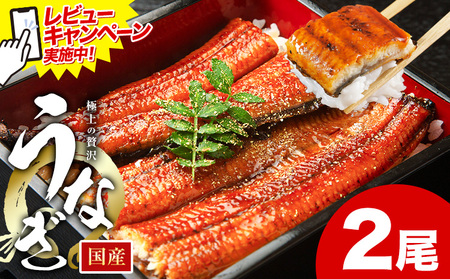 r[Ly[{I Ȃ V ƒp  2 (TCYsIʁF1140g-180g) Y V̊Ă ʌ HOMIE Ys11{-11oׁt