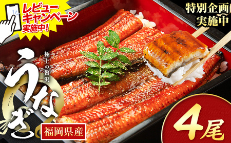 r[Ly[{I Ȃ V ƒp  4 (TCYsIʁF1140g-180g) Y V̊Ă ʌ HOMIE Ys11{-11oׁt