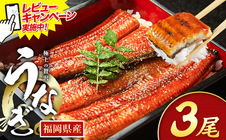 r[Ly[{I Ȃ V ƒp  3 (TCYsIʁF1140g-180g) Y V̊Ă ʌ HOMIE Ys12{-12oׁt