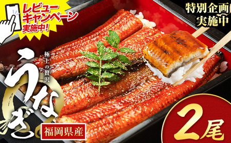 r[Ly[{I Ȃ V ƒp  2 (TCYsIʁF1140g-180g) Y V̊Ă ʌ HOMIE Ys1{-1oׁt