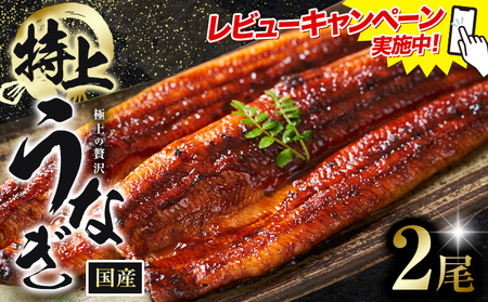 レビューキャンペーン実施中! うなぎ 鰻 特上 2尾 1尾当たり180g以上 福岡県産 鰻の蒲焼き 数量限定 株式会社HOMIE 国産[45日以内に出荷予定(土日祝除く)]