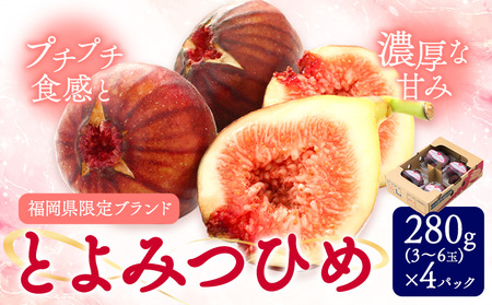 いちじく 無花果 とよみつひめ 280g×4パック《8月中旬-10月中旬頃出荷》福岡県 鞍手町 福岡県産 いちじく フルーツ 果物