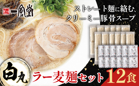 ラーメン 一風堂 白丸 ラー麦麺 セット 12食 地域商社ふるさぽ《90日以内に出荷予定(土日祝除く)》福岡県 鞍手町 ラーメン とんこつ 豚骨スープ 豚骨ラーメン ラー麦 麺