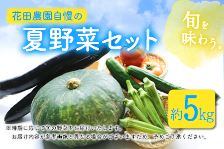 夏 野菜セット 約5kg 花田農園