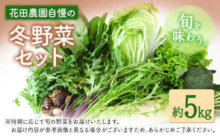 冬 野菜セット 約5kg 花田農園