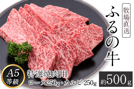 ふるの牛(黒毛和牛)特選焼肉用 500g (ロース250g、カルビ250g) A5 ミシュラン掲載[30日以内に出荷予定(土日祝除く)]