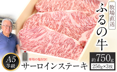 ӂ̋iјajIT[CXe[L 750g(250g×3) Qht A5 LЂӂ́s30ȓɏoח\(yj)t