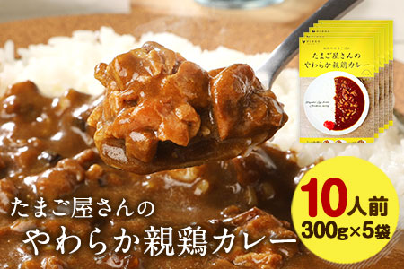 たまご屋さんのやわらか親鶏カレー 10人前 300g×5袋 野上養鶏場 [60日以内に出荷予定(土日祝除く)] 福岡県 鞍手郡 鞍手町 味宝卵 カレー