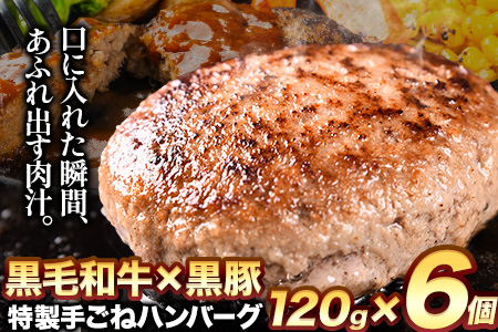 黒毛和牛×黒豚使用!九州うまれの特製手ごねハンバーグ 120g×6個 計720g[30日以内に出荷予定(土日祝除く)]生ハンバーグ 一つずつ個包装 MK エム・ケイ食品