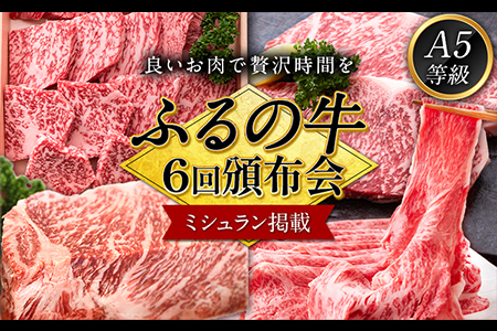 [6ヶ月頒布会]鞍手町 ふるの牛 頒布会 計5kg以上 全6回[お申込み月の翌月から出荷開始]ふるの牛 サーロインステーキ 特選焼き肉用 ロース カルビ すき焼き しゃぶしゃぶ ロース サーロインブロック 焼肉 焼肉用 定期便 頒布会