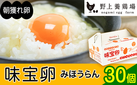 朝獲れ卵 味宝卵 (30個) 卵 Lサイズ 送料無料 鶏卵[90日以内に出荷予定(土日祝除く)]