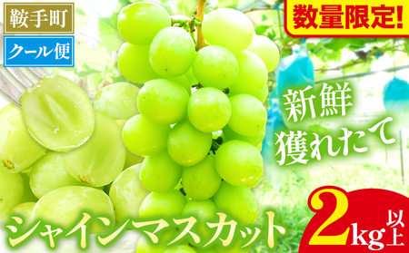 [数量限定]シャインマスカット 2kg以上 3房以上 先行予約 数量限定 直鞍農業協同組合 営農センター [8月中旬-9月中旬頃出荷] シャインマスカット マスカット 果物 フルーツ 送料無料