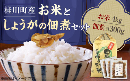 桂川町産 白米 4kg と しょうがの佃煮セット ▼コメ 米 こめ 白米 佃煮 セット しょうが ご飯 桂川町/けいせんとれたて村加工部[ADAI001] 12000 12000円