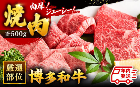 [年内発送対象]博多和牛 焼肉 用 500g 国産 桂川町/株式会社 MEAT PLUS[ADAQ009] 11000 11000円 和牛 焼肉 焼き肉 BBQ 冷凍