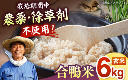 [͔|Ԓ _sgp ] yߘa7NY zÖ_ _@ ō āi  j6kg j쒬/Ƒ Ö_ [ADAL001]     _ x xi