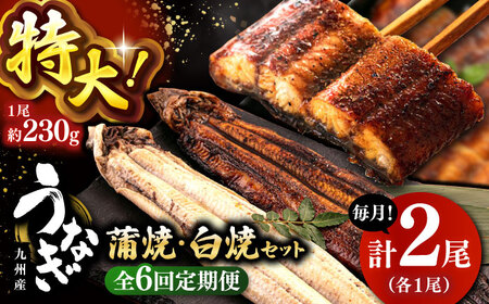 全6回定期便 鹿児島産うなぎ2尾 蒲焼・白焼セット ▼ウナギ 鰻 蒲焼き 白焼き セット 特大 定期便 桂川町/山水商事 [ADAH019] 108000 108000円