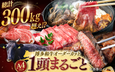 [一頭丸ごとオーダー!] 博多和牛 一頭食べ尽くしセット ▼豪華 贅沢 牛肉 国産 定期便 大容量 オーダーメイド ステーキ 切り落とし セット [株式会社MEAT PLUS]桂川町 [ADAQ099]