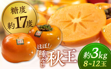 y2025N10{蔭zYuh ` H 3kgi8-12ʁj j쒬/썑t[c[ADBW021]`  t[c قڎȂ