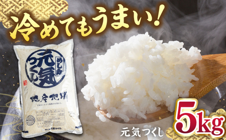 福岡産ブランド 米 元気つくし 5kg 桂川町/南国フルーツ株式会社[ADBW026] 米 白米 5kg