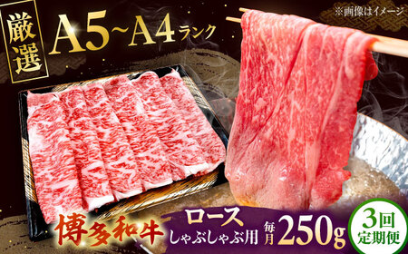 [全3回定期便][数量限定 博多和牛]ロース しゃぶしゃぶ用 250g 桂川町/株式会社チクゼンヤ[ADBZ042] 牛肉 赤身 国産 定期便