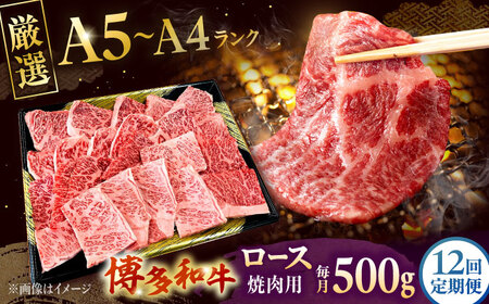 【全12回定期便】【数量限定 博多和牛】ロース 焼肉用 500g 桂川町/株式会社チクゼンヤ [ADBZ048] 焼肉 焼肉用 牛肉 国産 定期便