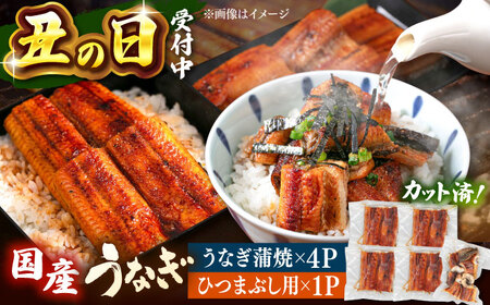 国産 うなぎの蒲焼 約70g×4Pとひつまぶし セット 桂川町/山水商事[ADAH036]
