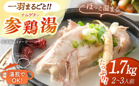参鶏湯(サムゲタン)1羽分 桂川町/マルマツ産業株式会社[ADAE002] サムゲタン 参鶏湯 鍋 鍋セット