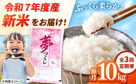 yS3ցz yߘa7NxY VāIzY  10kg(5kg×2)  j쒬/LЃt@C[RN[ADCE006]