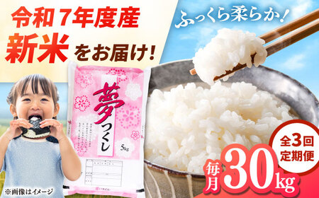 yS3ցz yߘa7NxY VāIzY  30kg(5kg×6)  j쒬/LЃt@C[RN[ADCE008]