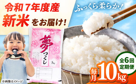 yS6ցz yߘa7NxY VāIzY  10kg(5kg×2) ā@j쒬/LЃt@C[RN[ADCE010]