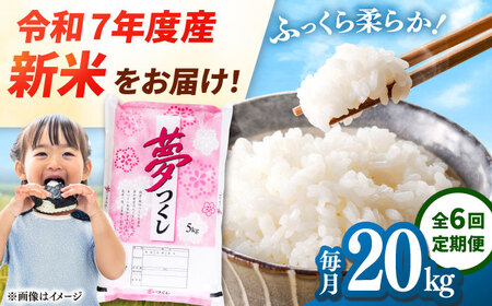 yS6ցz yߘa7NxY VāIzY  20kg(5kg×4) ā@j쒬/LЃt@C[RN[ADCE011]