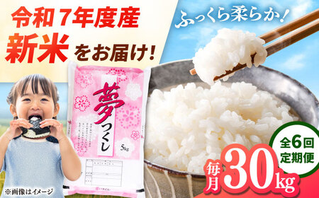 yS6ցz yߘa7NxY VāIzY  30kg(5kg×6) ā@j쒬/LЃt@C[RN[ADCE012]