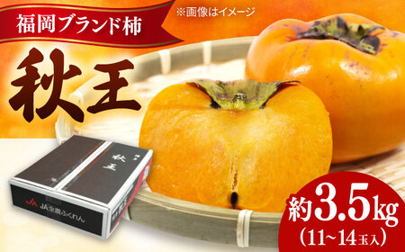 秋の贅沢、濃厚であまーい柿の新ブランド「秋王」約3.5kg/2026年10月-11月より発送予定 桂川町/一般社団法人地域商社ふるさぽ[ADCF010]
