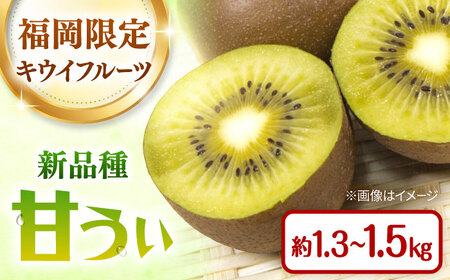 福岡限定品種キウイ「甘うぃ」約1.3kg-約1.5kg/2026年11月頃より発送予定 桂川町/一般社団法人地域商社ふるさぽ[ADCF013]