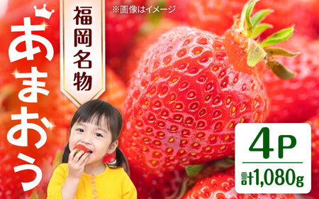福岡・博多名物ブランドいちご「あまおう」 4パック 合計約1,080g/2026年3月頃より発送予定 桂川町/一般社団法人地域商社ふるさぽ[ADCF016]