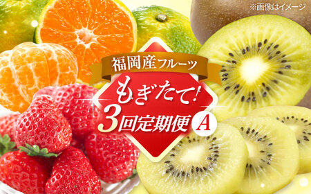 [全3回定期便]九州・福岡もぎたて フルーツ定期便 A 桂川町/一般社団法人地域商社ふるさぽ[ADCF017]