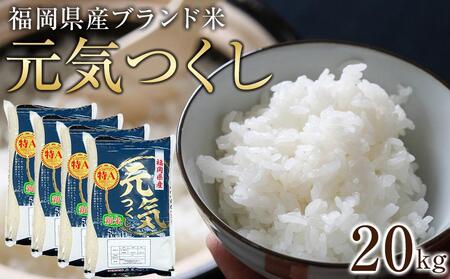 元気つくしの返礼品 検索結果 | ふるさと納税サイト「ふるなび」