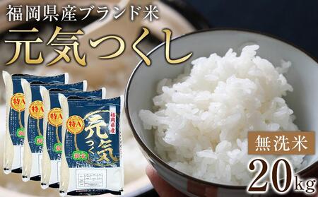 [令和7年産]福岡県産ブランド米「元気つくし」無洗米20kg[米 お 無洗米 こめ 福岡県 白米 お米 人気 国産 お こめ 福岡県 白米 お米 人気 国産 米白 元気つくし ]