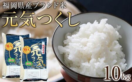 [令和7年産]福岡県産ブランド米「元気つくし」白米10kg [米 お こめ 福岡県 白米 お米 人気 国産 お米 元気つくし こめ 福岡県 人気 国産 ]