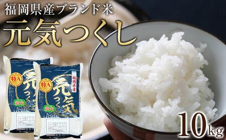 [令和5年産]福岡県産ブランド米「元気つくし」白米10kg [米 お米 夢つくし 米 こめ 福岡県 米 白米 米 お米 人気 国産 米 お米 元気つくし 米 こめ 福岡県 米 白米 米 お米 人気 国産 米 お米 元気つくし 米 こめ 福岡県 米 白米 米 お米 人気 国産 米 お米 元気つくし 米 こめ 福岡県 米 白米 米 お米 人気 国産]