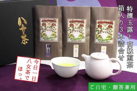 許斐本家14代目おススメの特撰玉露と特撰煎茶、上煎茶の化粧箱入り3本詰合せ[八女茶老舗 創業300年余](ギフト対応)[銘茶 福岡銘茶 お取り寄せ 茶 お茶 おちゃ 八女茶 人気 おすすめ ソフトドリンク 飲料 常温 送料無料 CX009]